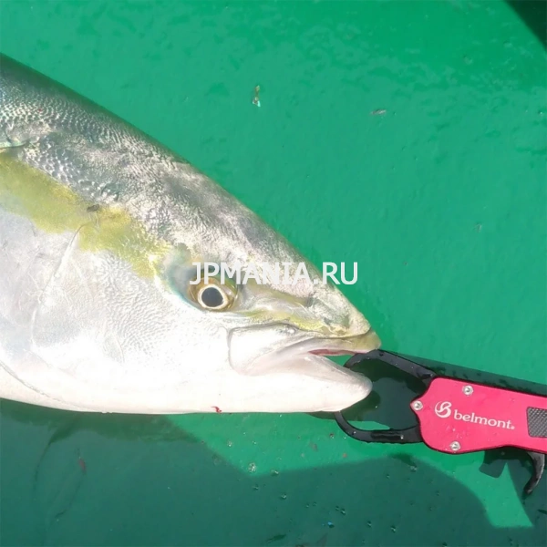 Belmont MR-007 Metal Fish Grip Mini на jpmania.ru