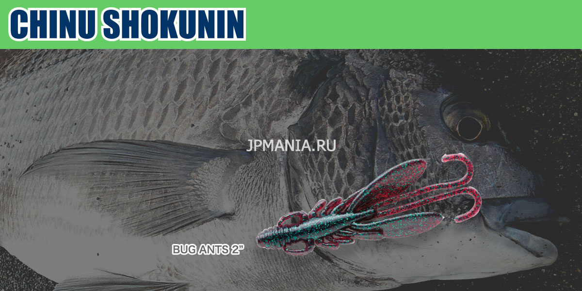 Ecogear Chinu Shokunin Bug Ants 2 на jpmania.ru