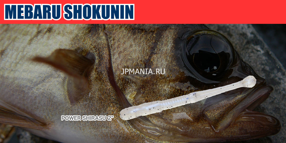 Ecogear Mebaru Shokunin Power Shirasu 2 на jpmania.ru