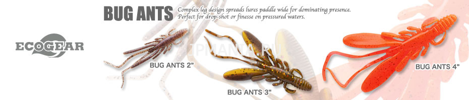 Ecogear Bug Ants  jpmania.ru