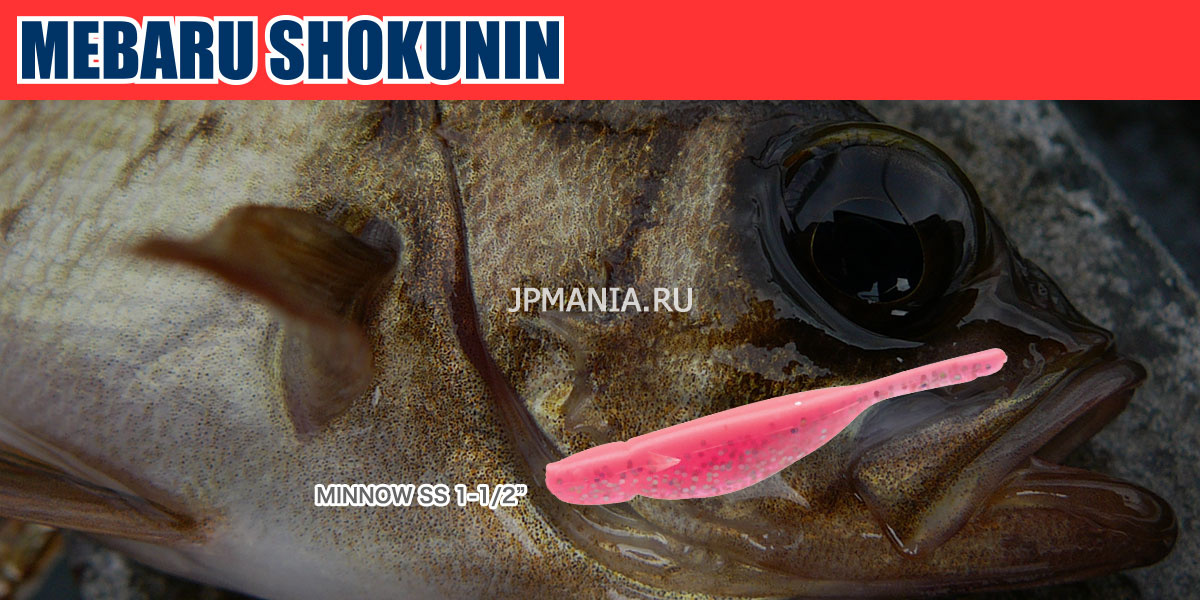 Ecogear Mebaru Shokunin Minnow SS на jpmania.ru
