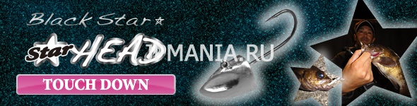 Xesta Star Head Touch Down  jpmania.ru
