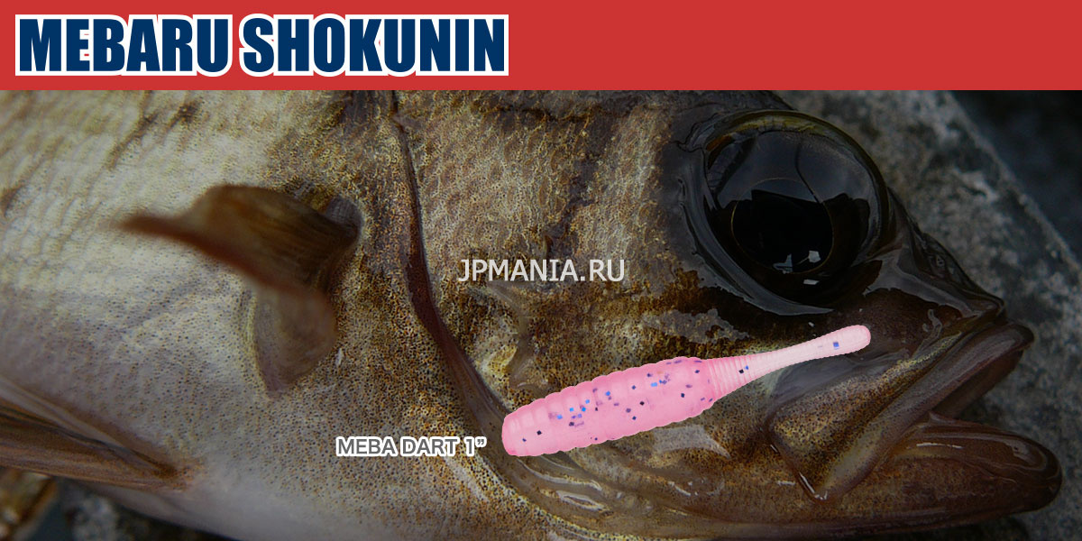 Ecogear Mebaru Shokunin Mebadart 1 на jpmania.ru