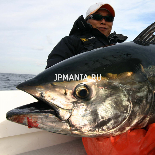 Hot's Wei World Tuna Casting  jpmania.ru