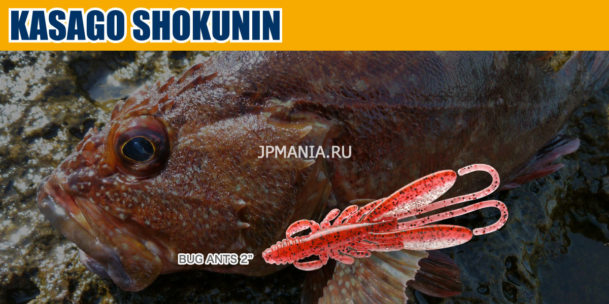 Ecogear Kasago Shokunin Bug Ants 2 на jpmania.ru